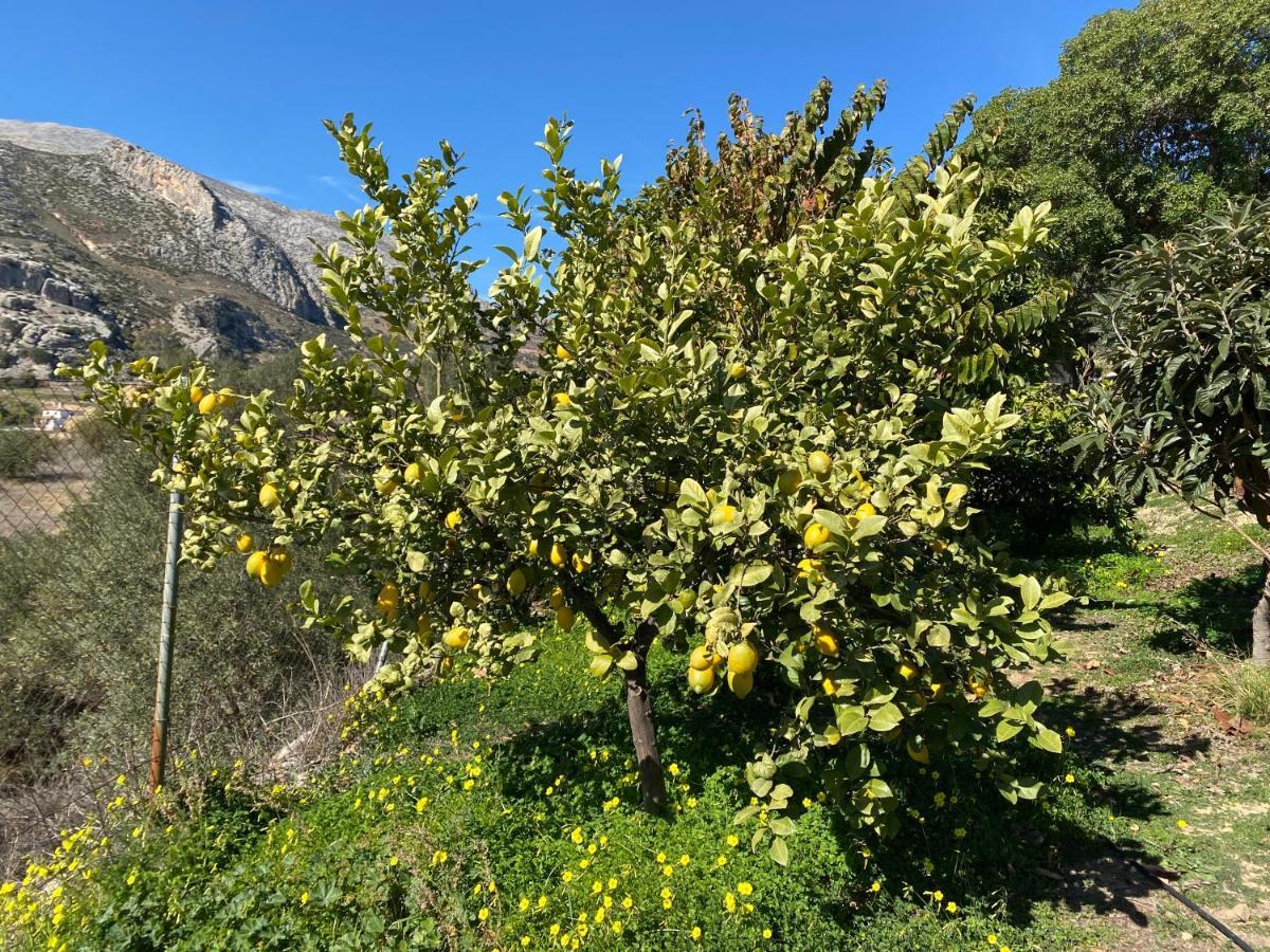 Valle de Abdalagís Casa El Saladilloヴィラ エクステリア 写真